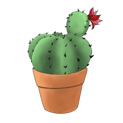 Cactus + bloem