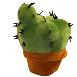 cactus small